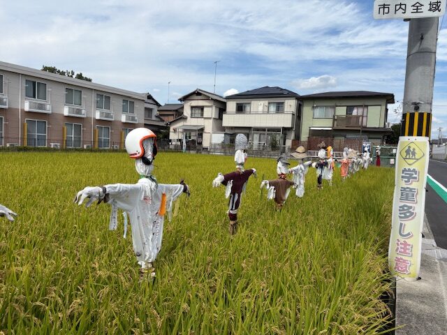 高砂市内の風景・・・案山子